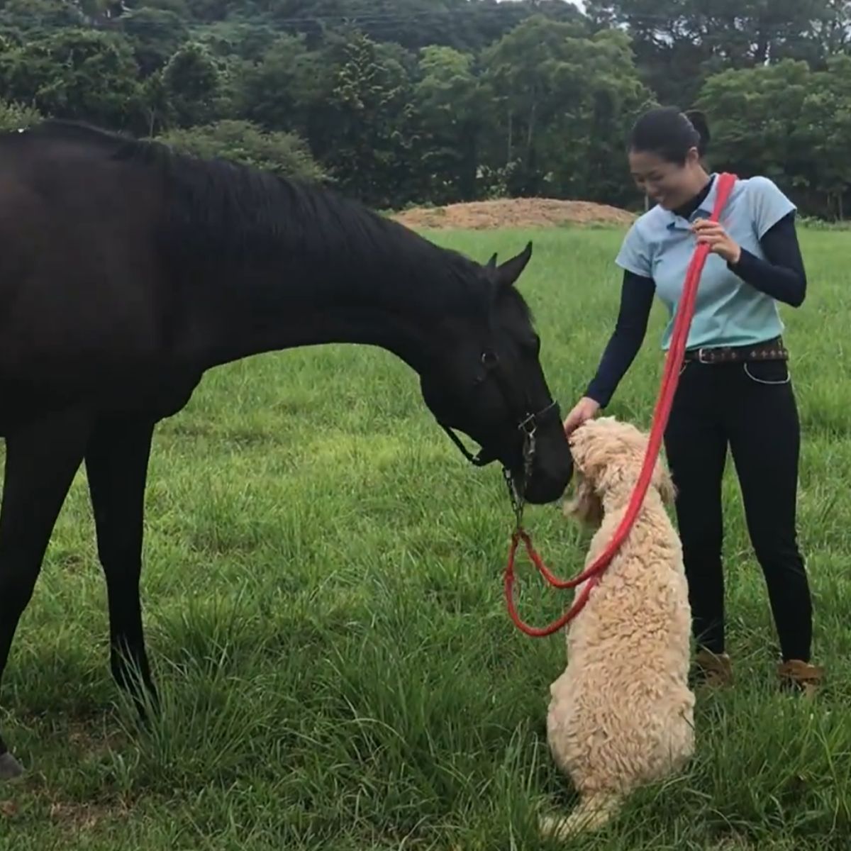 【みんなのおやつ】COSNACK＋飲むあんこセット